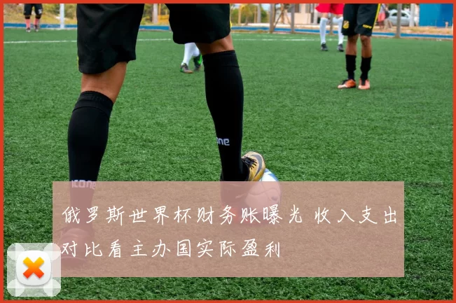 俄罗斯世界杯财务账曝光 收入支出对比看主办国实际盈利